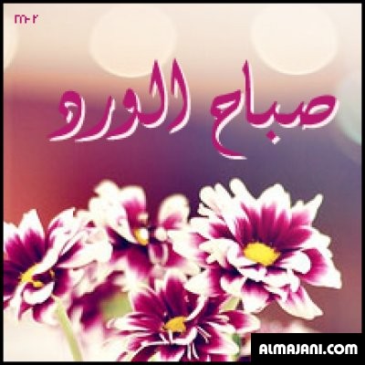 بالصور بطاقات تهنئة صور تهنئه صباح الخير