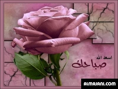 بالصور بطاقات تهنئة صور تهنئه صباح الخير