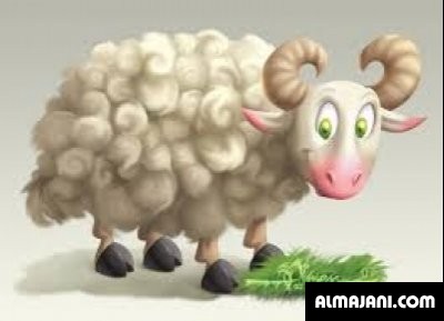 صور وخلفيات خرفان العيد وكاريكاتير متنوعة 2026