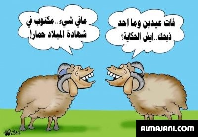 صور وخلفيات خرفان العيد وكاريكاتير متنوعة 2026